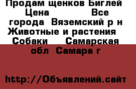 Продам щенков Биглей › Цена ­ 15 000 - Все города, Вяземский р-н Животные и растения » Собаки   . Самарская обл.,Самара г.